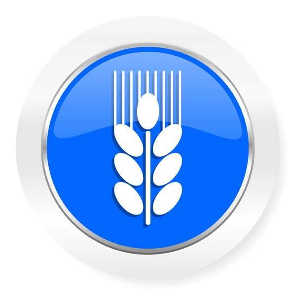 Grain bleu brillant icône web — Photo
