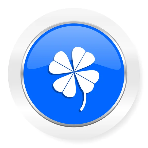 Four-leaf clover blue glossy web icon — Stock Photo, Image
