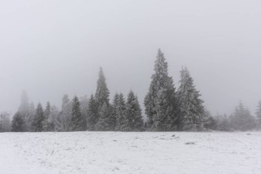 Dağlarda karlı ve güzel bir kış