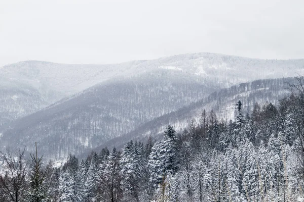 Снежная Красивая Зима Горах — стоковое фото