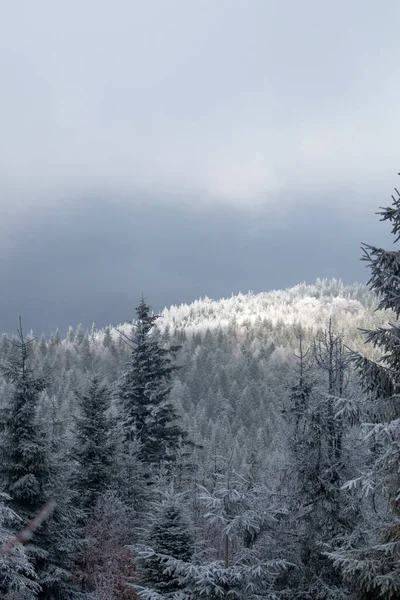 Inverno Nevado Bonito Nas Montanhas — Fotografia de Stock