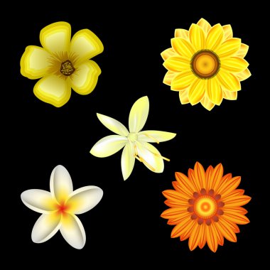 çiçekleri ayarla, vektör