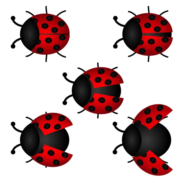 Set of Ladybird, vector — Stock Vector