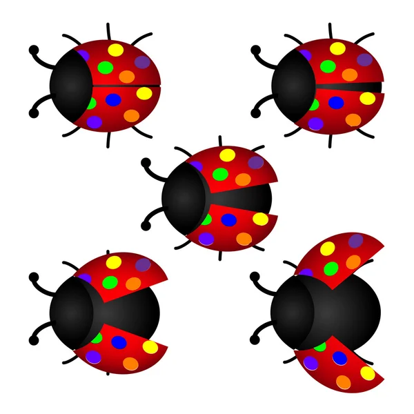 Kleurrijke set van lieveheersbeestje, vector — Stockvector