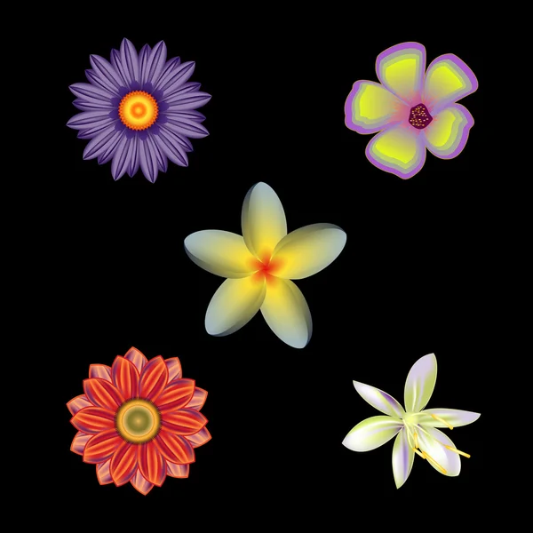 Set of flowers, vector — Stock Vector