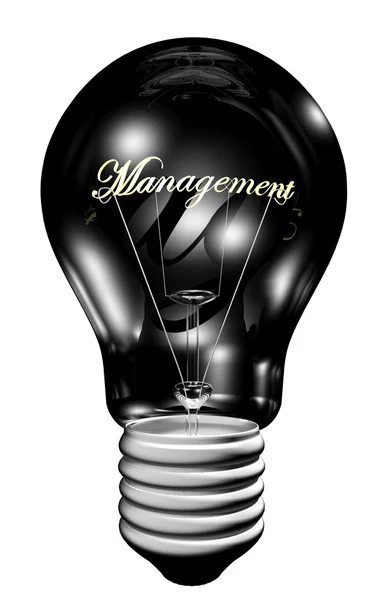 Glühbirne mit Management-Licht — Stockfoto