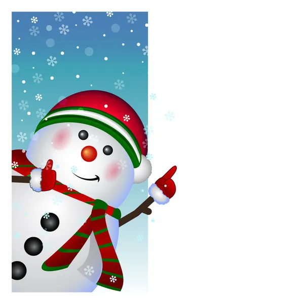 Snowman card. vector — Stock Vector