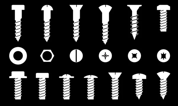 Set of screws, vector — Stock Vector