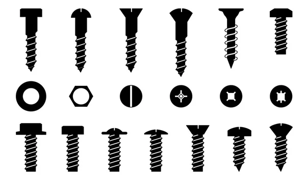 Set of screws, vector — Stock Vector