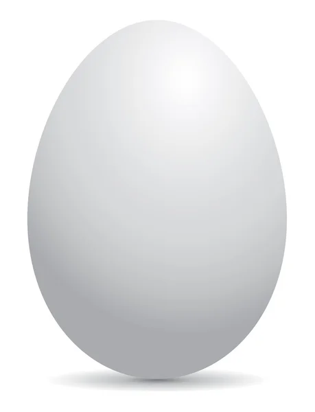 White egg, vector — Stock Vector