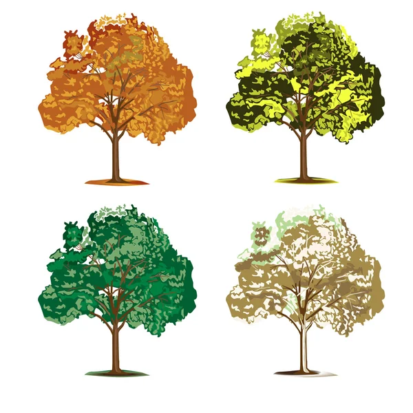 Ensemble de quatre arbres saisonniers — Image vectorielle