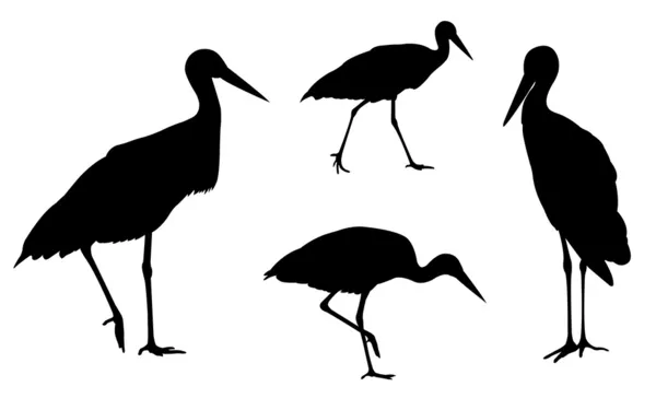 Storks silhouettes — Stock Vector