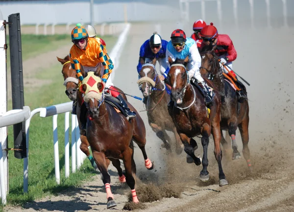 BELGRADE, SERBIE - 16 JUIN 2013 : groupe indéfini de Jockeys sur des chevaux de course pendant la course sur l'hippodrome de Belgrade — Photo