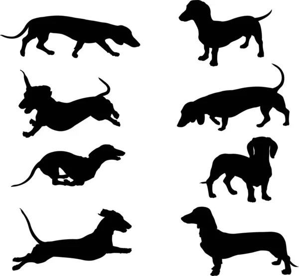 Dachshund Silhouettes Collection Vector — 스톡 벡터