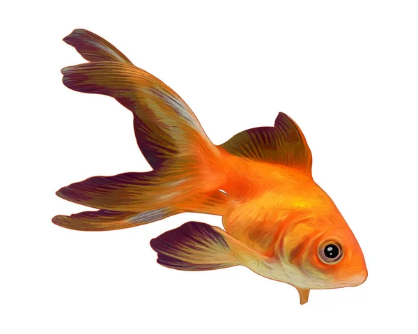 Goldfish Realistic Look Vector Artwork — Vettoriale Stock