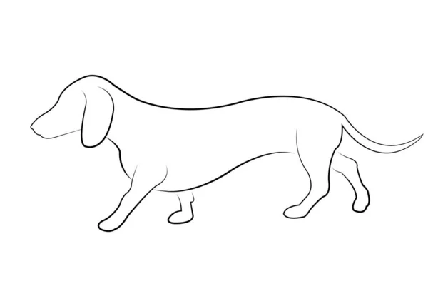 Dachshund Dog Walk Side View Line Art Vector — Stok Vektör