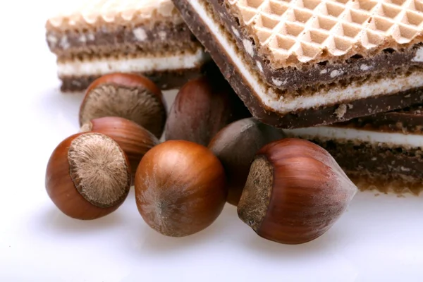 Hazelnuts — Stock Photo, Image