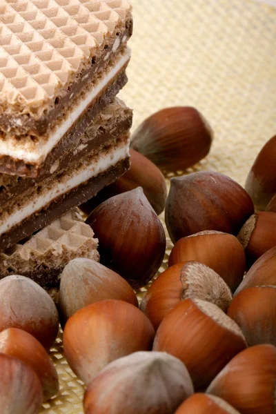 Hazelnuts — Stock Photo, Image