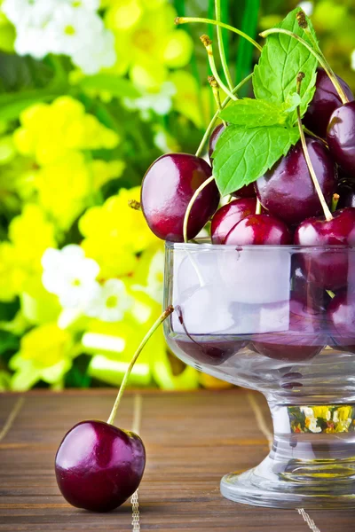 Sweet cherry fruits in glass goblet with mint leaf — Stock Photo, Image