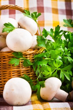 hasır sepet taze champignon mantar dolu