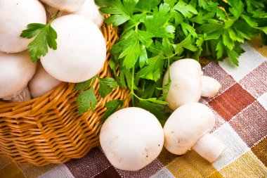 hasır sepet taze champignon mantar dolu