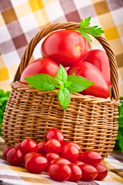 Wiklinowy kosz pełen świeżych pomidorów i pomidorkami — Zdjęcie stockowe