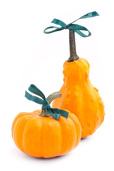 Decorative pumpkin squash isolated on white background — Stock Photo, Image