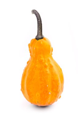 Dekoratif kabak kabak izole üzerinde beyaz arka plan