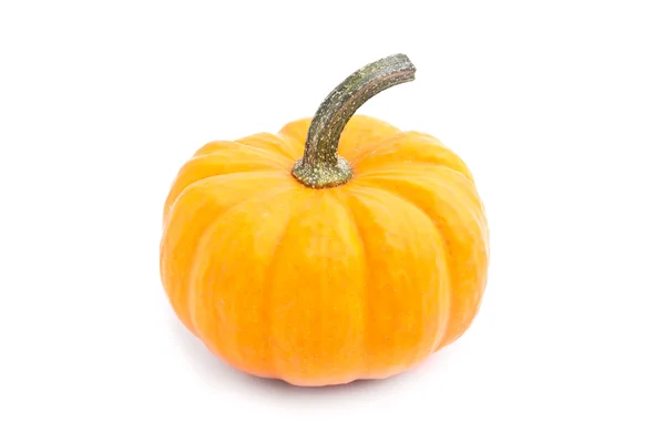 Decorative pumpkin squash isolated on white background — Stock Photo, Image