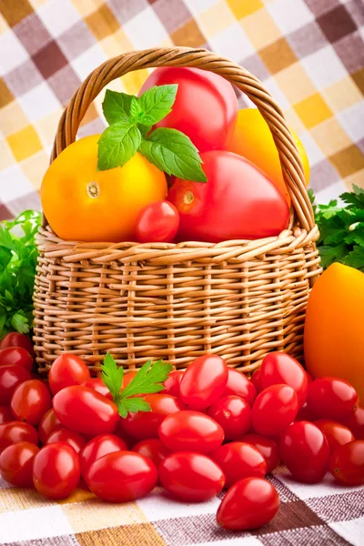 Wicker basket full of fresh tomatoes and cherry tomatoes — Stock Photo, Image