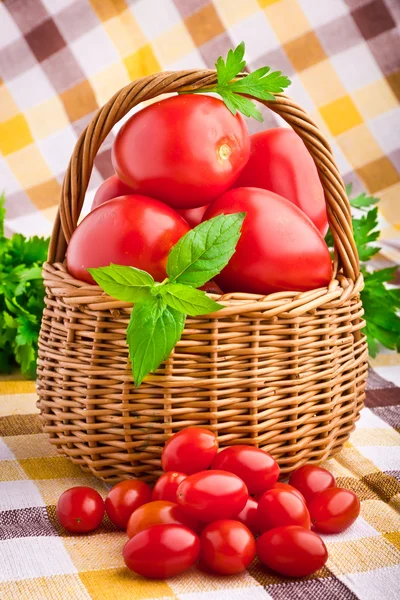 Cesta de vime cheia de tomates frescos e tomates cereja — Fotografia de Stock