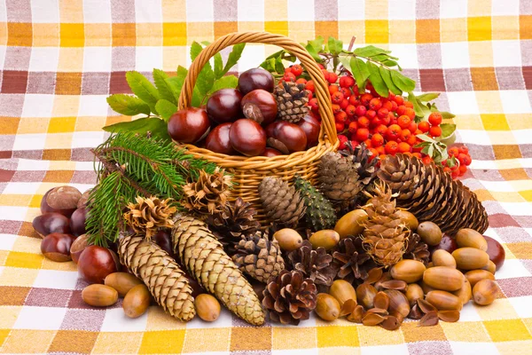 Wicker basket full of autumn acorns, cones and chestnuts — Stock Photo, Image