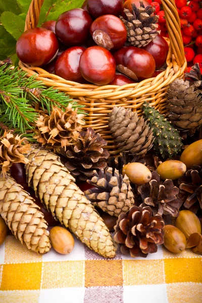 Cesta de mimbre llena de bellotas, conos y castañas de otoño — Foto de Stock