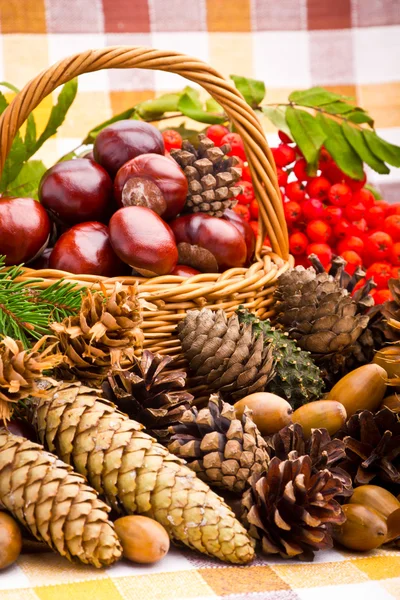 Cesta de mimbre llena de bellotas, conos y castañas de otoño — Foto de Stock