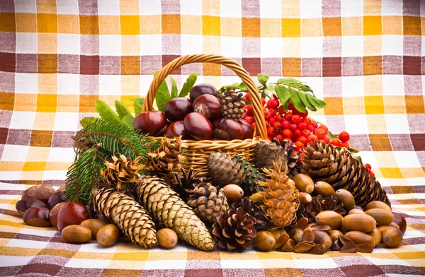 Cesta de mimbre llena de bellotas, conos y castañas de otoño — Foto de Stock