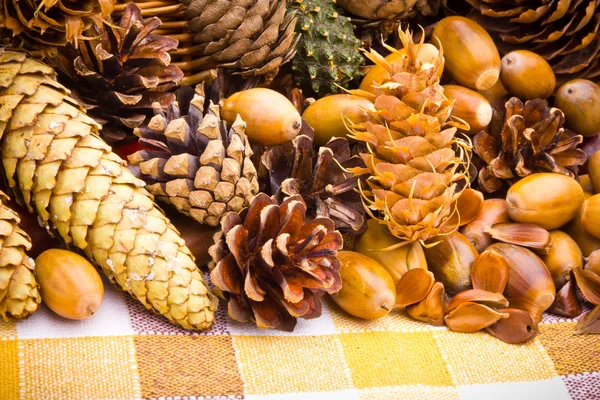 Cesta de mimbre llena de bellotas, conos y castañas de otoño —  Fotos de Stock