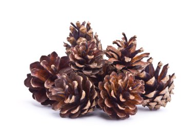 Beyaz arka plan üzerinde izole koniler topluluğu