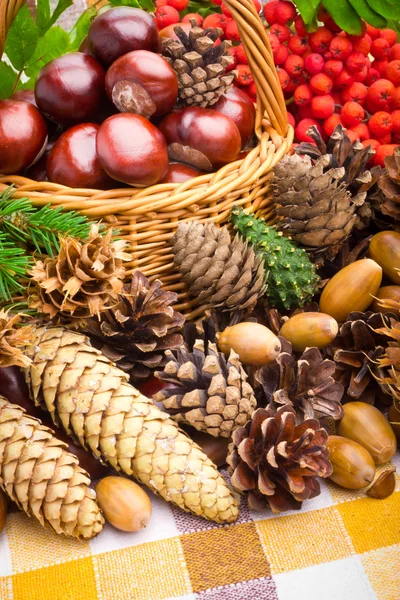 Cesto di vimini pieno di ghiande, coni e castagne autunnali — Foto Stock