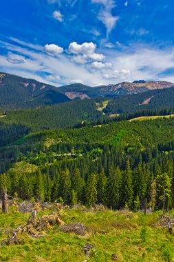 dağlık manzara görünümünde Bahar, düşük tatras, Slovakya