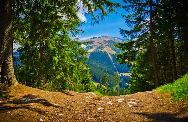 Bergachtig landschap weergave in voorjaar, lage Tatra, Slowakije — Stockfoto