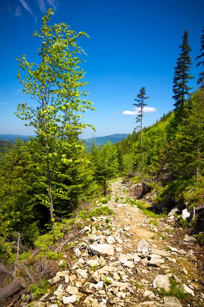 Vista da trilha para o Pilsko Peak das montanhas de Beskidy, Polônia — Fotografia de Stock