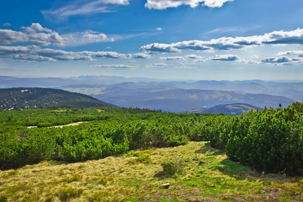 Θέα από το μονοπάτι προς την κορυφή pilsko από βουνά beskidy, polan — Φωτογραφία Αρχείου