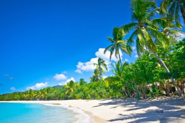 Saint Lucia, Karayip Adaları 'ndaki güzel plaj