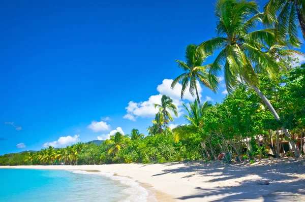 Hermosa playa en Santa Lucía, Islas del Caribe — Foto de Stock