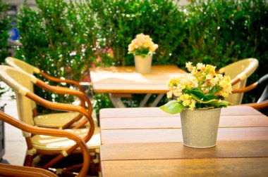 Vintage eski moda Cafe sandalye masa Kopenhag ile