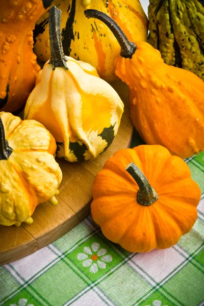 Several decorative pumpkins squash fruits — Stock Photo, Image