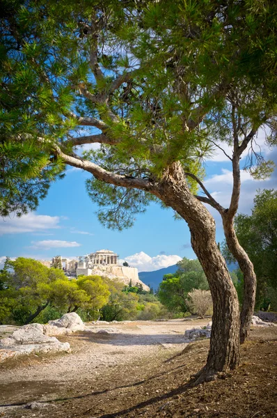 Antik acropolis, Atina, Yunanistan'ın güzel manzarasını