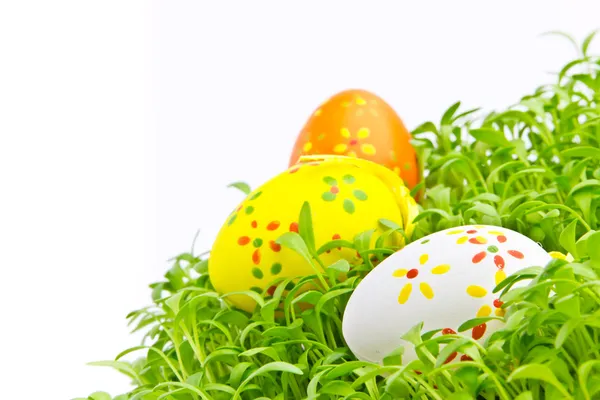 Decorative easter eggs in a grass — Stock Photo, Image