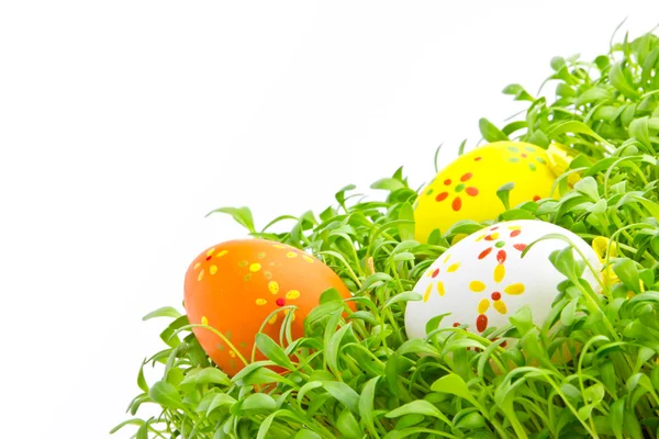 Decorative easter eggs in a grass — Stock Photo, Image