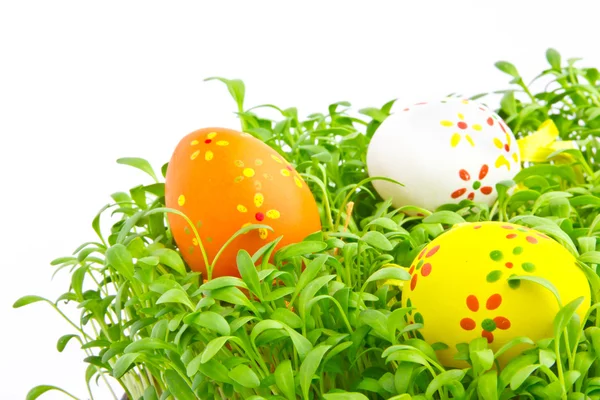 Bir çim dekoratif Paskalya yumurtaları — Stok fotoğraf